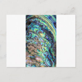 Cartão Postal Detalhe da concha do abalone verde-azul