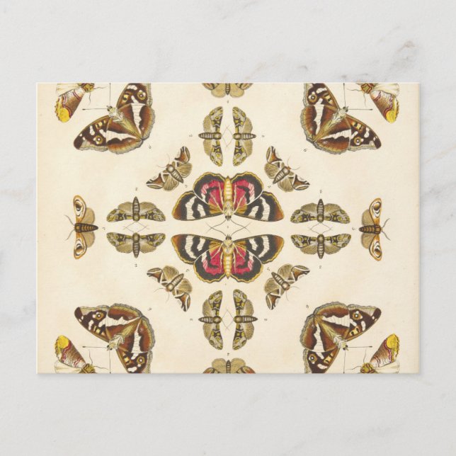 Cartão Postal Detalhe da placa VI (Frente)