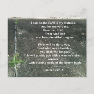 Cartão Postal Deus te protege dos mentirosos