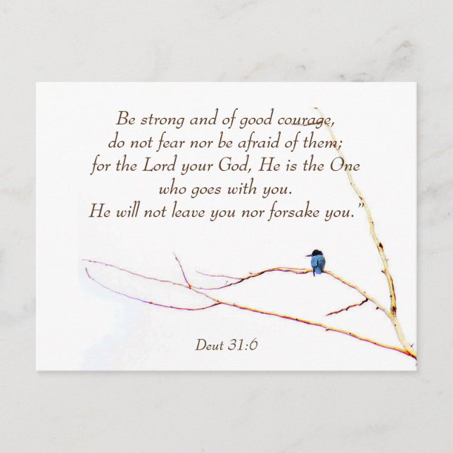 Cartão Postal Deut 31:6 Você não está sozinho Bíblia Kingfisher  (Frente)