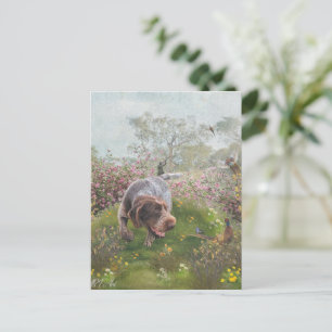 Cartão Postal Deutsch Drahthaar