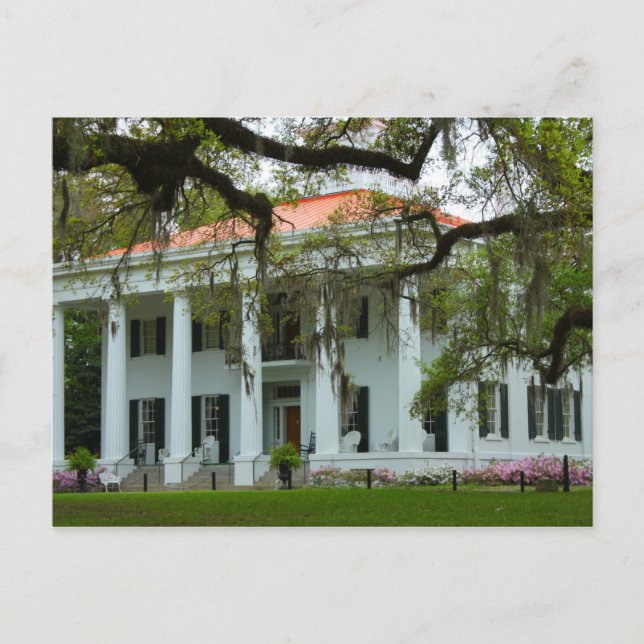 Cartão Postal D'Evereux Antebellum Home - Natchez, MS (Frente)