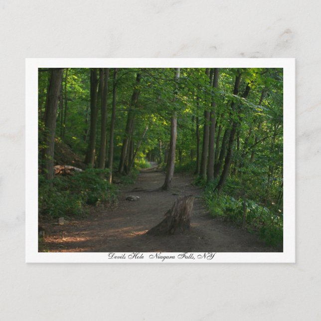 Cartão Postal Devils    HoleNiagara Cai, NY (Frente)
