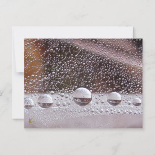 Cartão Postal Dew Drop Yin Yang Nature Meditation