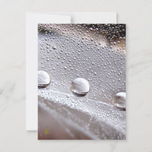 Cartão Postal Dew Drops na aranha Galáxia da Web