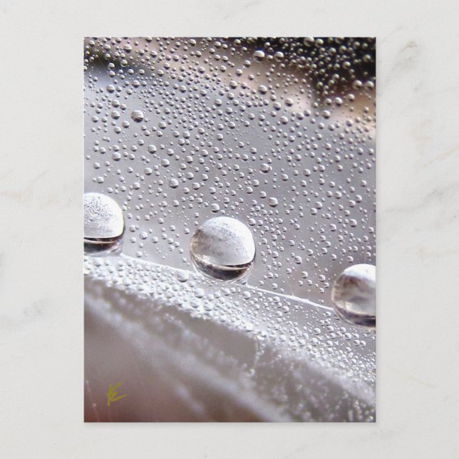 Cartão Postal Dew Drops na aranha Galáxia da Web (Frente)