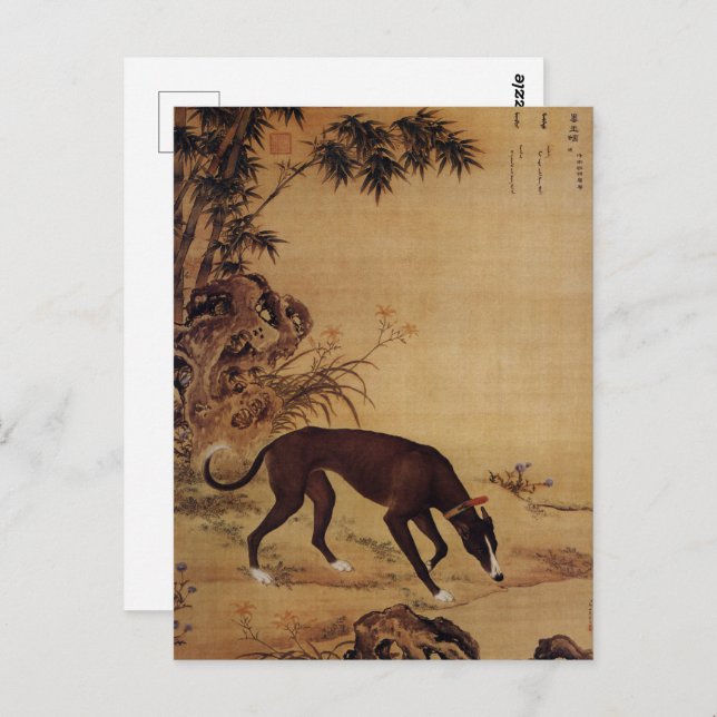 Cartão Postal Dez Cães Prizados - Moyuli (galgos chineses) (Frente/Verso)