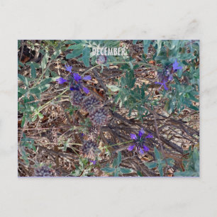 CARTÃO POSTAL DEZEMBRO