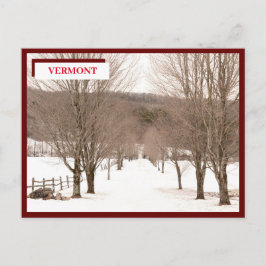 Cartão Postal Dezembro White Snow Green Mounties Vermont
