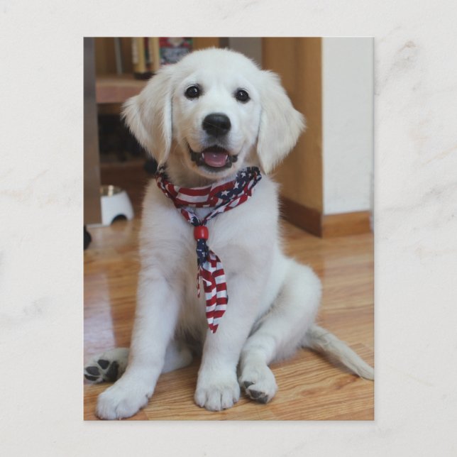 Cartão Postal Dia da Independência, 4 de julho (Frente)