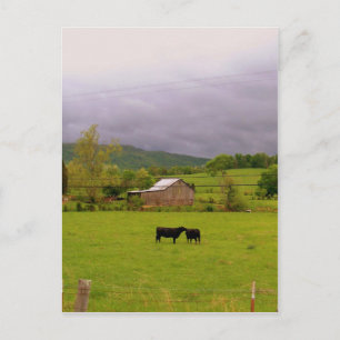 Cartão Postal Dia da Tempestade