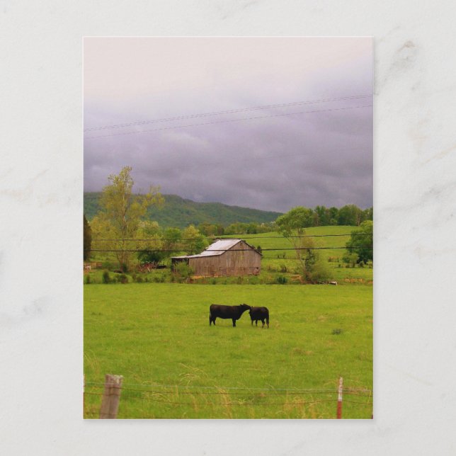 Cartão Postal Dia da Tempestade (Frente)