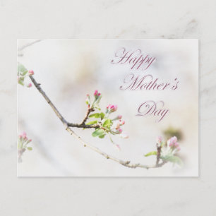 Cartão Postal Dia de as mães de Flor de Maçã