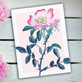 Cartão Postal Dia de as mães de Flor de Rosa Selvagem de Aquarel