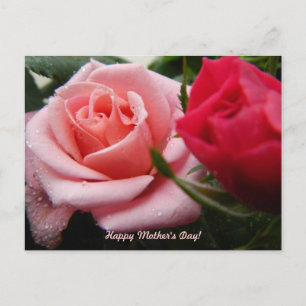 Cartão Postal Dia de as mães rosa e Rosa vermelha