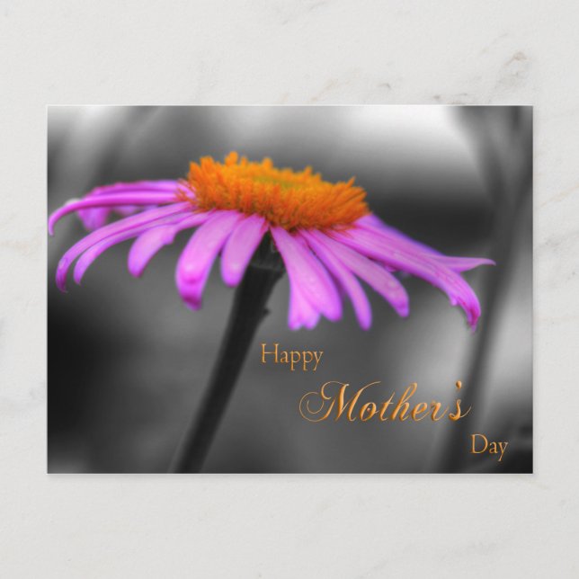 Cartão Postal Dia de as mães Roxo e Conversor Laranja (Frente)