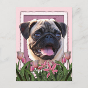 Cartão Postal Dia de as mães - Tulipas cor-de-rosa - Pug