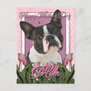 Cartão Postal Dia de as mães - Tulipas Rosa - Boston Terrier