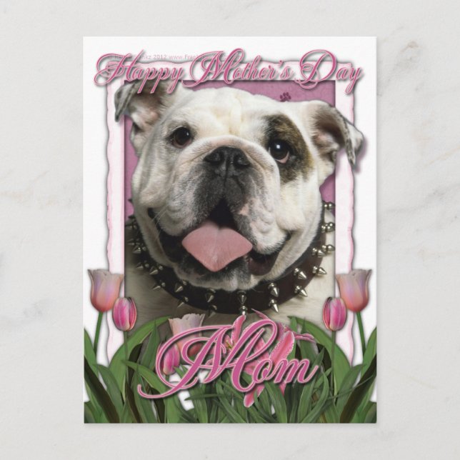 Cartão Postal Dia de as mães - Tulipas Rosa - Bulldog (Frente)