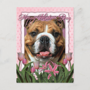 Cartão Postal dia de as mães - Tulipas Rosa - Bulldog