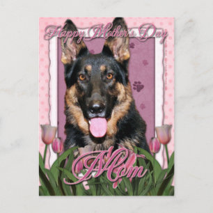 Cartão Postal dia de as mães - Tulipas Rosa - German shepherd - 