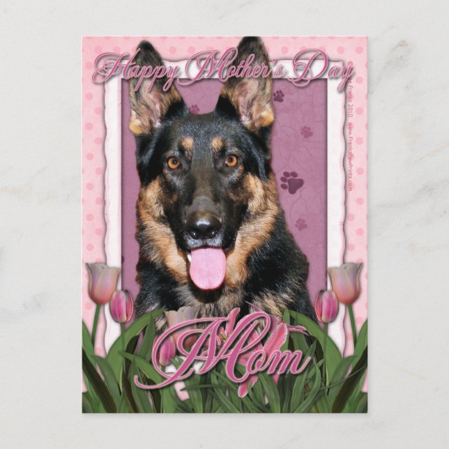 Cartão Postal Dia de as mães - Tulipas Rosa - German shepherd -  (Frente)