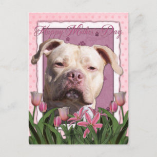 Cartão Postal dia de as mães - Tulipas Rosa - Pitbull - Garota J