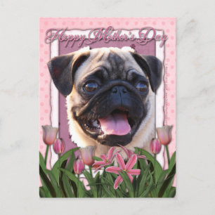 Cartão Postal dia de as mães - Tulipas Rosa - Pug