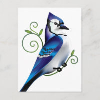 Dia de Bluejay