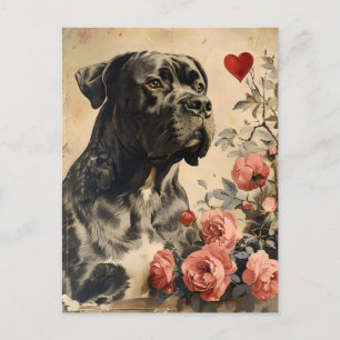 Cartão Postal Dia de os namorados Cane Corso Vintage