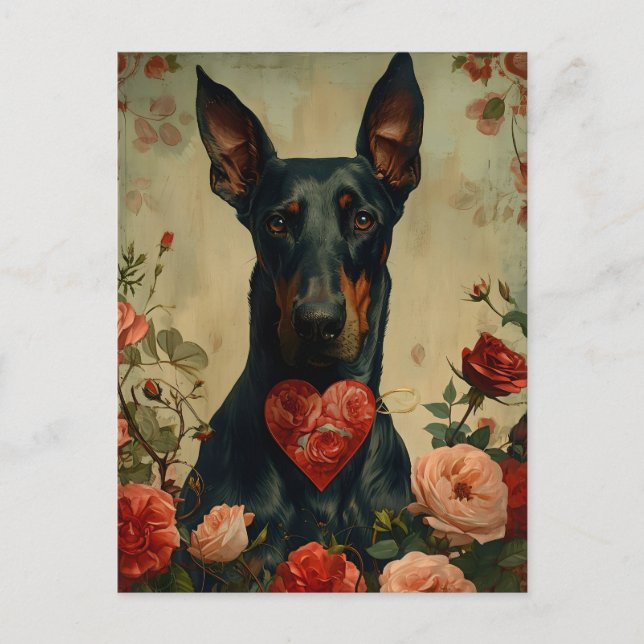 Cartão Postal Dia de os namorados de colheita Doberman (Frente)