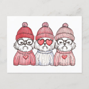 Cartão Postal Dia de os namorados Shih Tzu Dogs