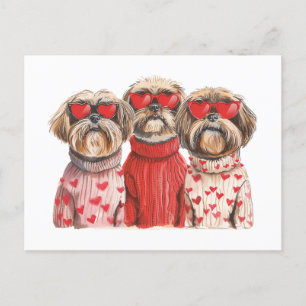 Cartão Postal Dia de os namorados Shih Tzu Dogs