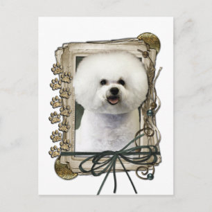 Cartão Postal Dia de os pais - Peças Pedras - Bichon Frise