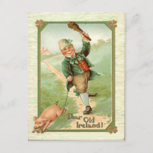 Cartão Postal Dia de São Patrício Vintage Leprechaun Pig Shill
