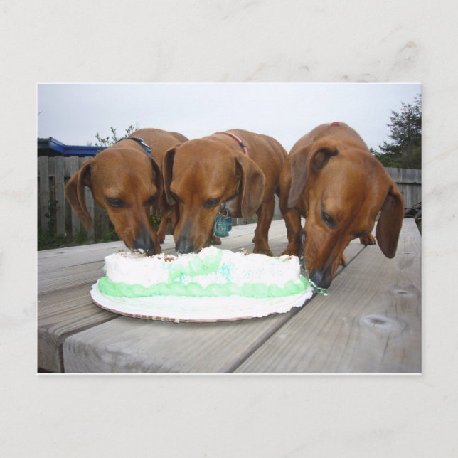 Cartão Postal Dia de St Pattys (Frente)