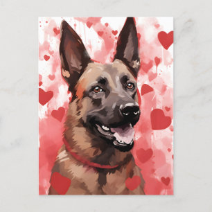 Cartão Postal Dia dos Namorados do Malinois Belga