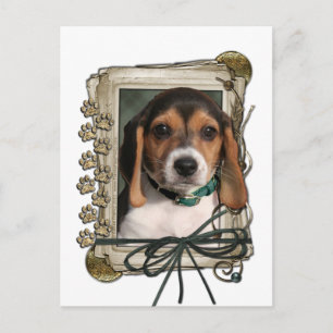 Cartão Postal Dia dos Pais - Stone Paws - Cachorrinho Beagle