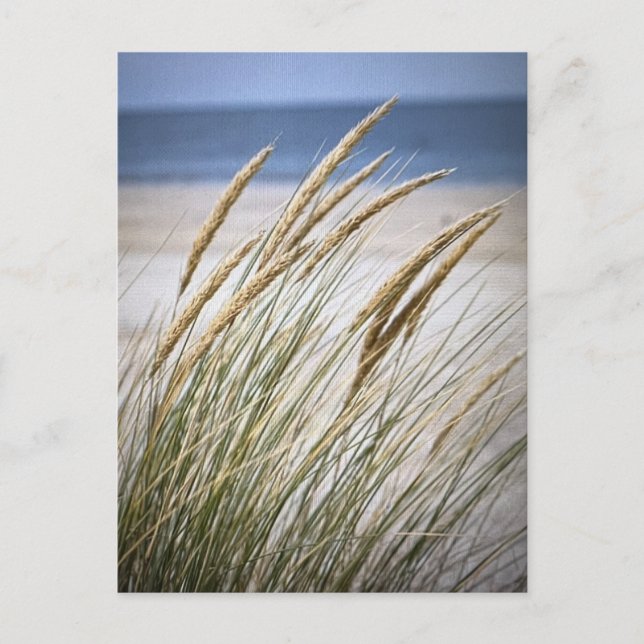 Cartão Postal Dia preguiçoso na praia (Frente)