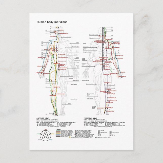 Cartão Postal  Diagram Schematic Chinese Meridians Human Body  (Frente)