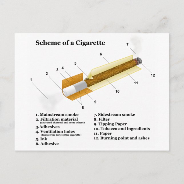 Cartão Postal Diagrama de Cigarro Fumante (Frente)