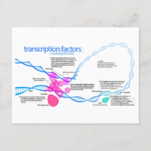 Cartão Postal Diagrama dos Fatores de Transcrição do Gene das Cé
