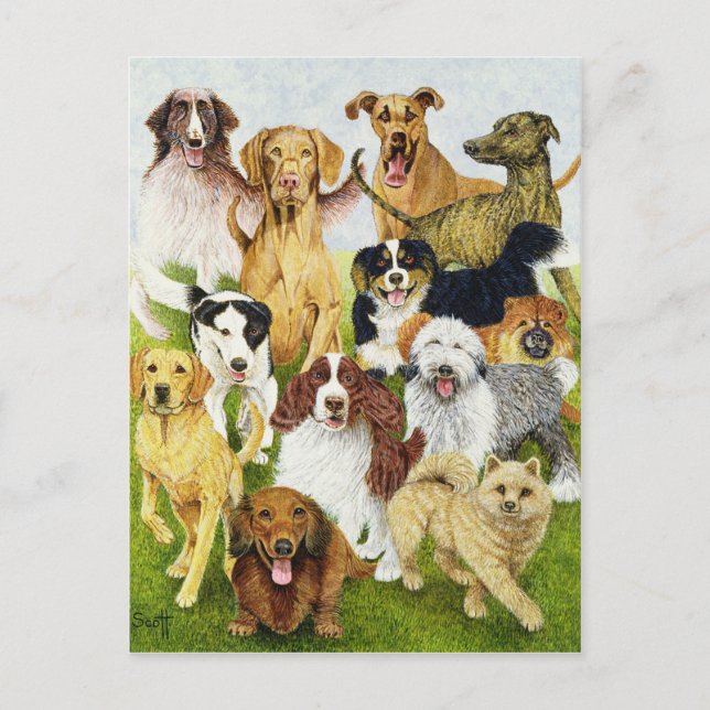 Cartão Postal Dias Cães (Frente)