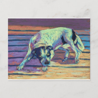 Cartão Postal Dias Cães