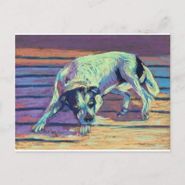 Cartão Postal Dias Cães (Frente)
