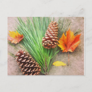 Cartão Postal Dias de outono