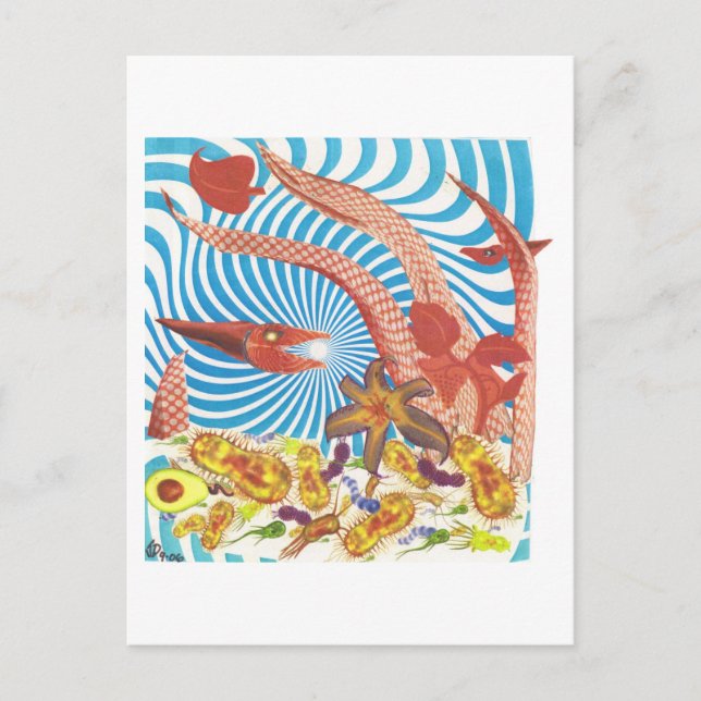 Cartão Postal Dibble_Art29_Orange_Octopus (Frente)