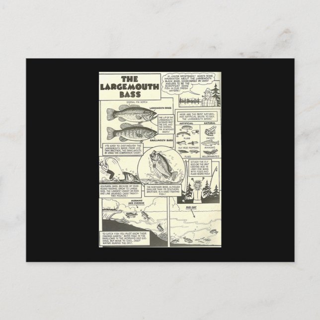 Cartão Postal Dicas para livros de habilidades de pesca em forma (Frente)