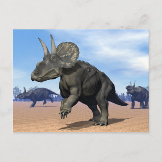 Cartão Postal Diceratops/dinossauros nedoceratops no deserto