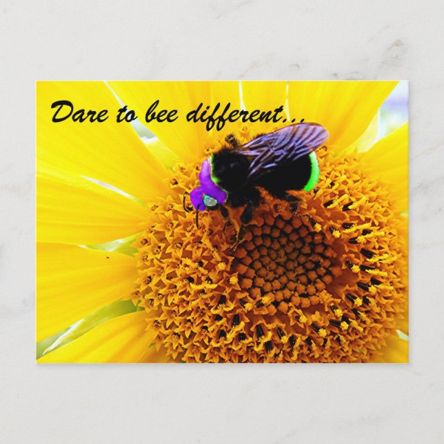 Cartão Postal Diferente (Frente)